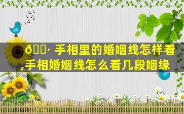 🌷 手相里的婚姻线怎样看,手相婚姻线怎么看几段姻缘